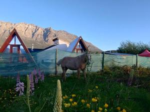 un caballo parado en el césped en un campo en Alas Cabañas en El Bolsón