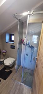 a bathroom with a shower and a toilet at Apartman Horizont in Zlatibor