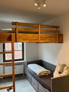 ein Schlafzimmer mit einem Etagenbett und einer Leiter in der Unterkunft Heller Zweiraumtraum im Zentrum in Würzburg