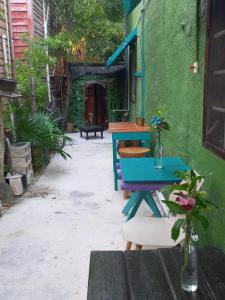a blue table and a green wall with a table at Hostel Utopia in Holbox Island