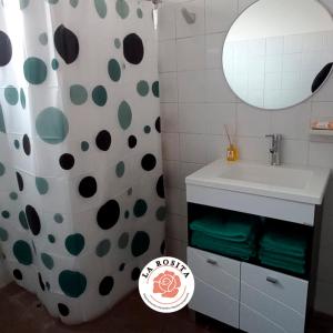 baño con lavabo y cortina de ducha en La Rosita en Villa María