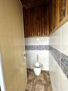 a bathroom with a toilet in the corner of a room at Joseph Agricultural Farm in Ubay +27 photos