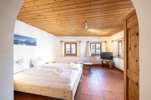 1 dormitorio con 1 cama grande y TV en Chasina Bagnera en Scuol