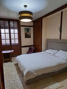 een slaapkamer met een groot bed en een tafel bij Gîte dans le parc d'une maison ancienne près des bords de Loire in Ouzouer-sur-Trézée