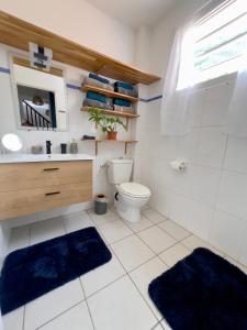 a bathroom with a toilet and a sink with blue rugs at Villa Iguana, duplex paisible, vue magnifique mer et rocher du Diamant, piscine in Sainte-Luce