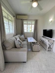 a living room with a couch and a tv at Apt 1 Lynsted - Newly renovated 2 bed 1 bath in Bridgetown
