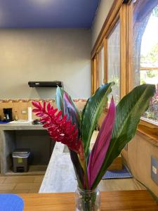 a vase with red and purple flowers on a table at Jazlyn Lodge in Paquera +41 photos
