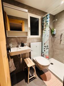 a small bathroom with a toilet and a sink at Chalet Solaria 2 bedrooms with mountain and garden view in Zweisimmen