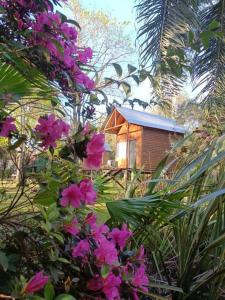 una pequeña casa con flores rosas delante en Cabañas Le Parc en Delta de Tigre en Tigre