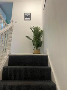 a plant sitting on top of a stair case at Stylish Apartment in CENTRAL LONDON in London