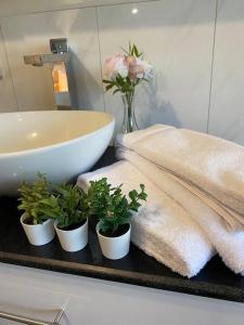 łazienka z umywalką i doniczkami na ladzie w obiekcie Beautiful 3BR Home by Dandenong Creek w mieście Bayswater