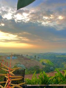 a view of a hill with the sunset in the background at La Puesta Del Sol in Filandia