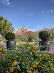 two flower pots in a garden with mountains in the background at The Dahl House Of Sedona in Sedona
