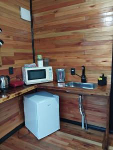 a kitchen with a counter with a microwave and a sink at Recanto do Ipê (cabana 02) in Urubici