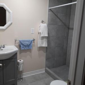 a bathroom with a shower and a sink at in beacon hill in Ottawa