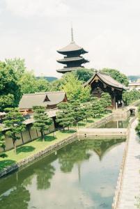 a temple and a river with trees and a building at CoBo Hostel in Kyoto