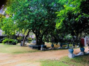 un parque con muchos árboles y macetas azules en Werala Beach Resort, en Kalpitiya