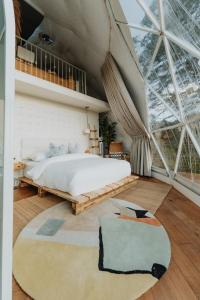 Nogal的住宿－Ona Geo Dome At El Mstico，一间卧室设有一张床和一个大型玻璃天花板
