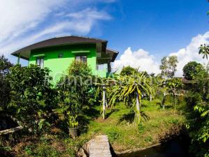 a green house on a hill with trees at Omah Awan at Desa Wisata Petik Jeruk Selorejo in Sengon