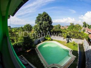 an overhead view of a swimming pool in a garden at Omah Awan at Desa Wisata Petik Jeruk Selorejo in Sengon