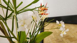 AmuriResort Tava'e的相册照片