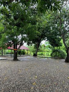a group of trees in a park with gravel at Apartaestudio Villa Mary-Aguachica in Aguachica
