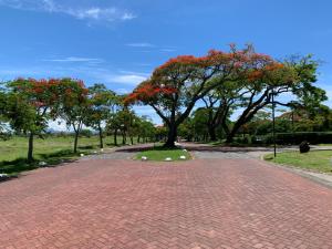 a brick road with a tree with red flowers on it at Palm Creek Villa in Mont Choisy