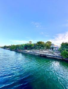 a view of a body of water with trees at Water Front House in Providenciales