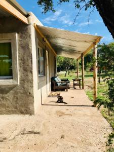 un gato sentado en el porche de una casa en El CAMPITO, en Cruz de Caña