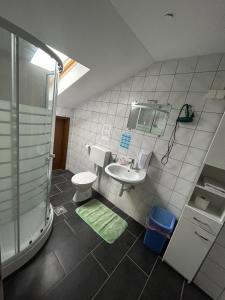 a bathroom with a sink and a shower and a toilet at Apartments and Wellness Ščavničar in Ljutomer