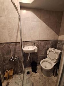 ein Bad mit einem WC und einem Waschbecken in der Unterkunft Amazing TaKSIM Apartment 2 in Istanbul