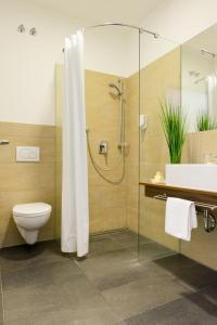 a bathroom with a shower and a toilet and a sink at Zar-Hotel Vitalis in Regensburg