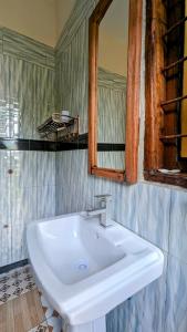a bathroom with a white sink and a mirror at Galapagos Homestay in Lushoto