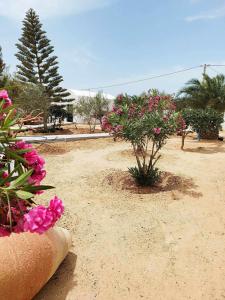 Gallery image of villa a djerba in Djerba