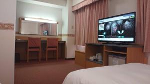 TV a/nebo společenská místnost v ubytování Hotel Alpha-One Tsuruga