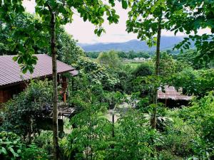 Blick auf einen Wald mit Bäumen und Gebäuden in der Unterkunft Ban Suan Nai Fun Homestay in Pua