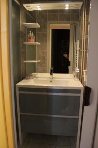 a bathroom sink with a mirror and a person taking a picture at Les cascades in Le Mont-Dore