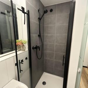 La salle de bains est pourvue d'une douche avec une porte en verre. dans l'établissement Noir, à Heidelberg
