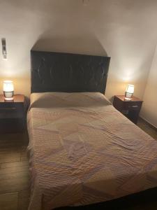 1 dormitorio con 1 cama grande y 2 mesitas de noche en Departamento Genaro en Mina Clavero
