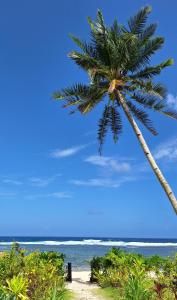 eine Palme am Strand mit dem Meer in der Unterkunft Bamboo Surf Beach in San Isidro