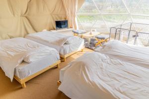 2 Betten in einem Zimmer mit Fenster in der Unterkunft glampark Healthy Pal Gunma in Shibukawa