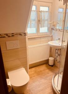 a bathroom with a toilet and a sink at Gästehaus Goldenes Lamm in Rothenburg ob der Tauber