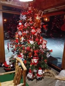 a christmas tree in front of a window at Ivana in Kupres