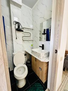 a bathroom with a toilet and a sink at Гостевой Дом Guest of Almaty in Almaty