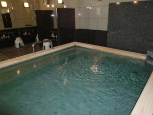 a large pool of water in a bathroom at Hotel Alpha-One Yonago in Yonago