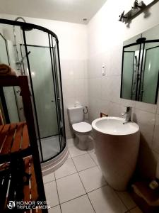 La petite maison de Marie في Port-sur-Saône: حمام مع حوض ومرحاض ومغسلة