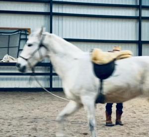 a man standing next to a white horse at nordic and retro apartment North of Cph 