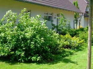 Zahrada ubytování 4 Sterne Apartment Hühnergott mit Terrasse und Sauna