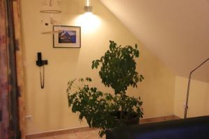 una maceta en una habitación con luz en 4 Sterne Apartment Kap Arkona mit Balkon, en Lobbe