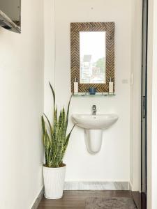 a bathroom with a sink and a mirror and a plant at Nai Homestay 2 in Da Thanh